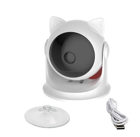 Cat Automatic Laser Pointer